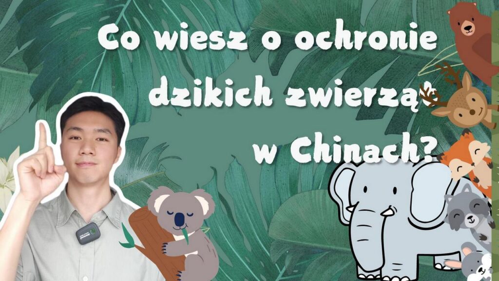 6f6587cb2aca47c0bdf017b9c2b5cd85