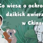 6f6587cb2aca47c0bdf017b9c2b5cd85