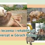 f17937093c674117bd4f192efabfdac4